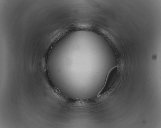 X0000090880764200708241940