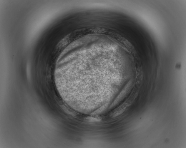 X0000090880765200708241940