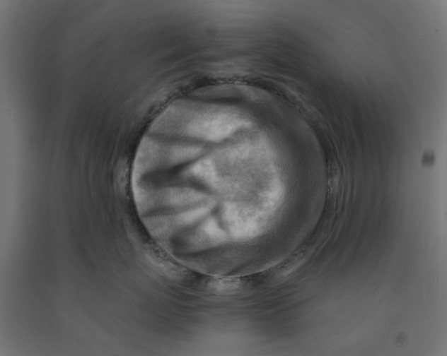 X0000090880767200708241940