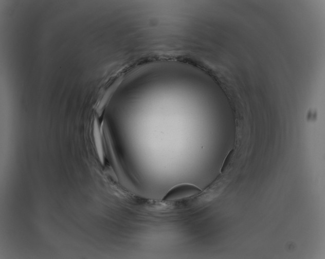 X0000090880768200708241940