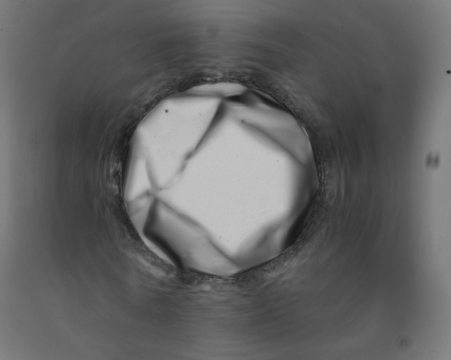 X0000090880770200708241940