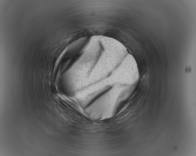 X0000090880772200708241940