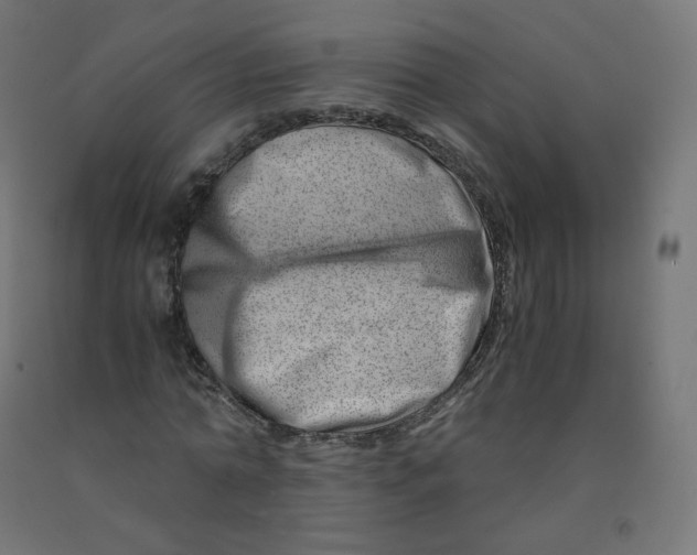 X0000090880774200708241940