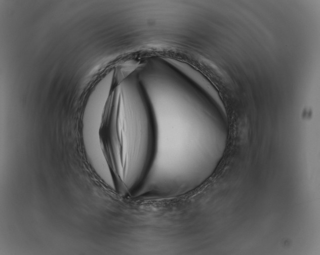 X0000090880776200708241940