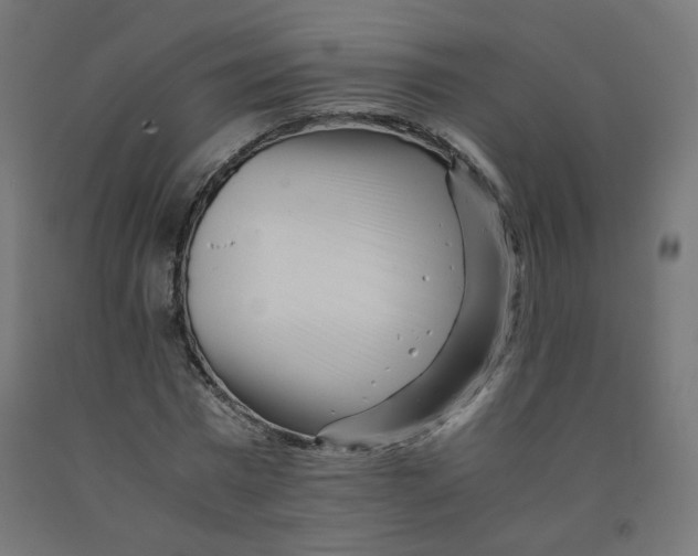 X0000090880777200708241940