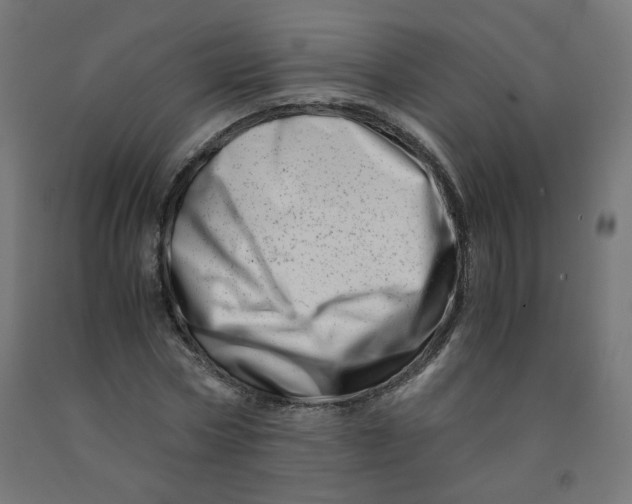 X0000090880778200708241940