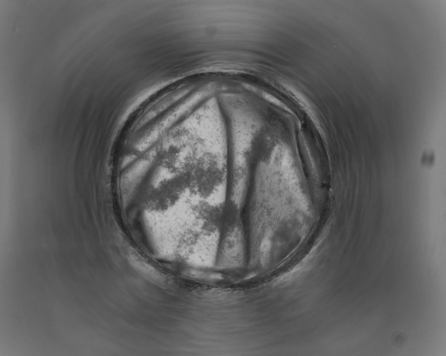 X0000090880779200708241940