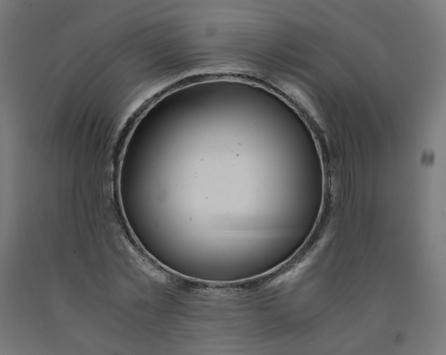 X0000090880781200708241940