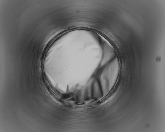 X0000090880782200708241940