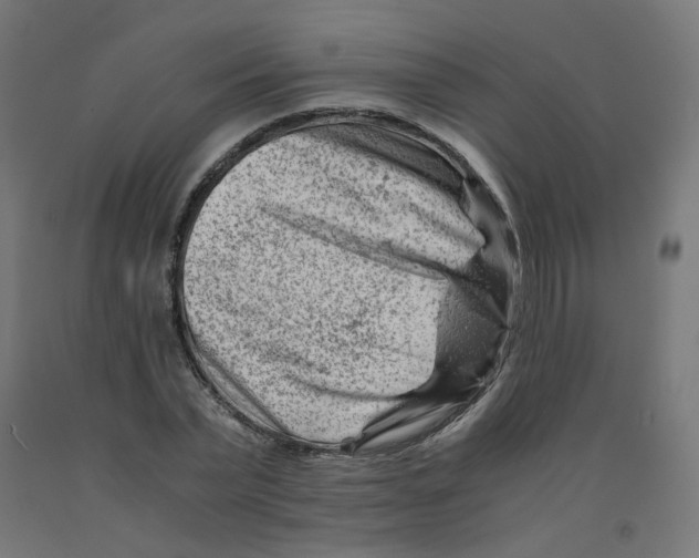 X0000090880783200708241940