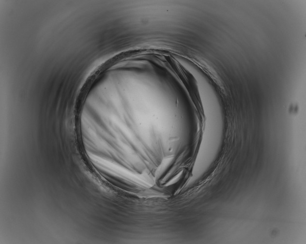 X0000090880784200708241940