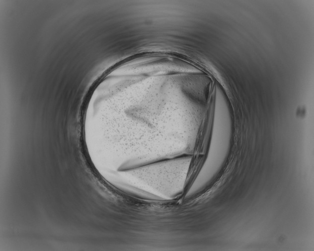 X0000090880787200708241940