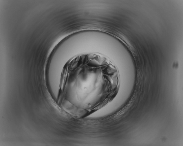 X0000090880788200708241940