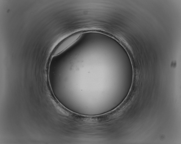 X0000090880789200708241940