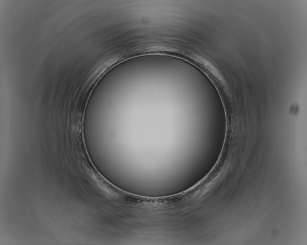 X0000090880793200708241940