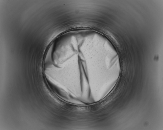 X0000090880794200708241940