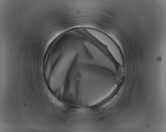 X0000090880797200708241939