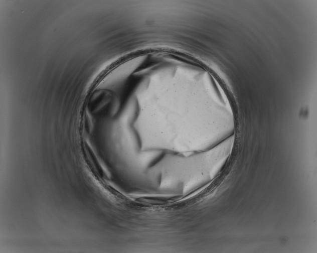 X0000090880799200708241939