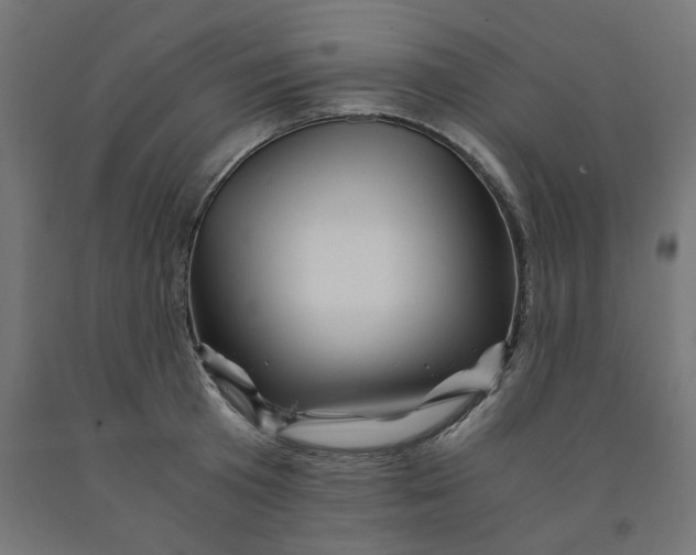 X0000090880801200708241939