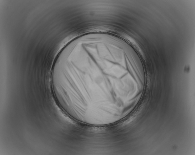 X0000090880802200708241939