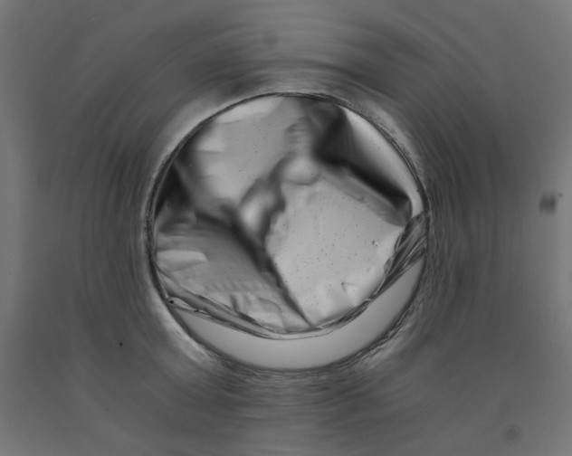 X0000090880803200708241939