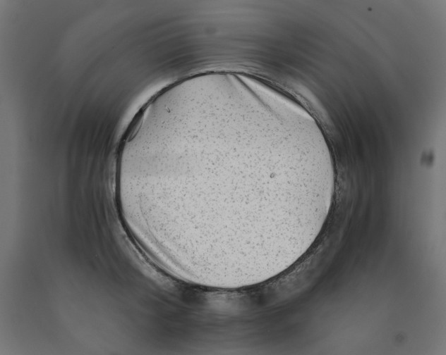 X0000090880804200708241939