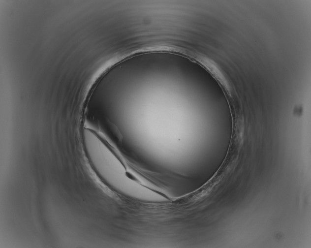 X0000090880805200708241939