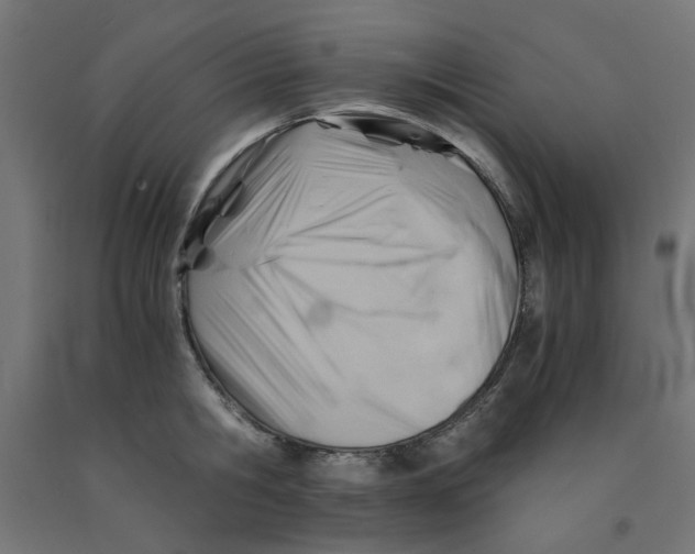 X0000090880806200708241939