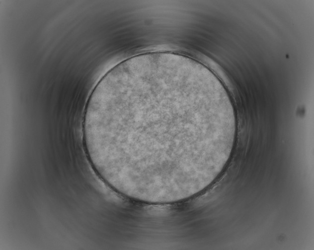 X0000090880810200708241939