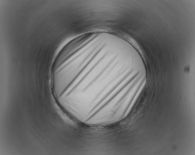 X0000090880811200708241939