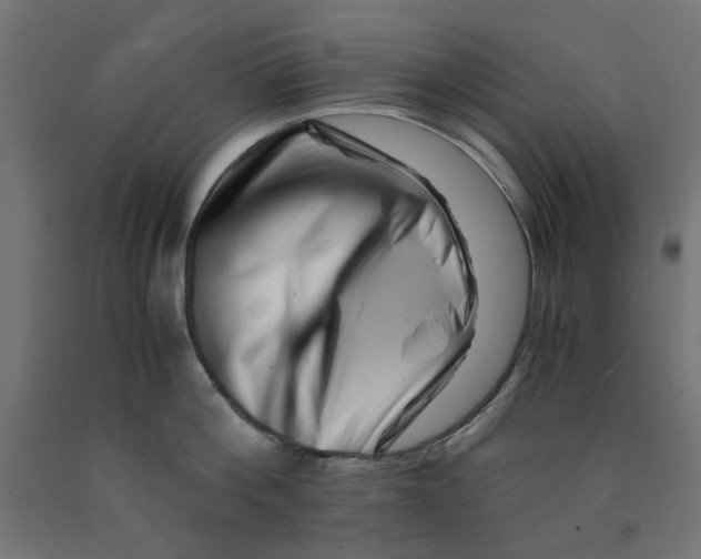 X0000090880812200708241939