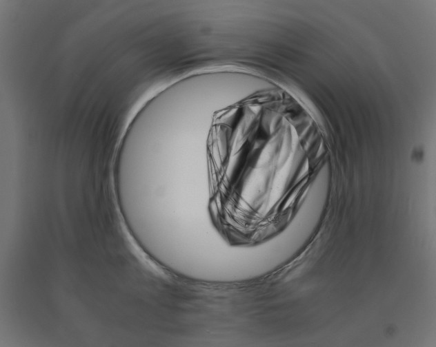 X0000090880813200708241939