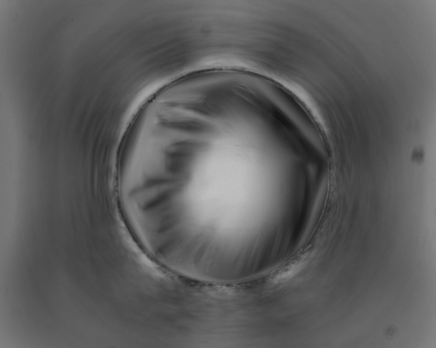 X0000090880815200708241939