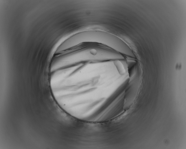 X0000090880816200708241939