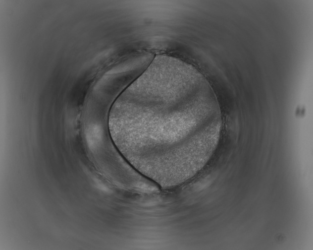 X0000090880818200708241938