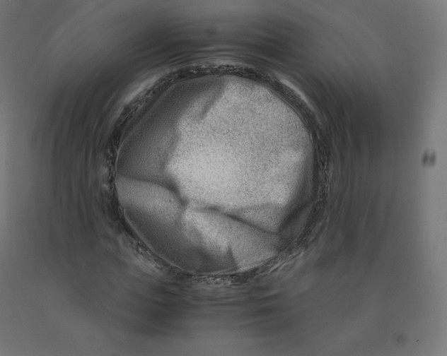 X0000090880823200708241939