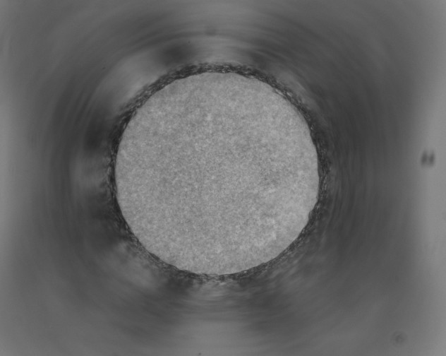 X0000090880824200708241939