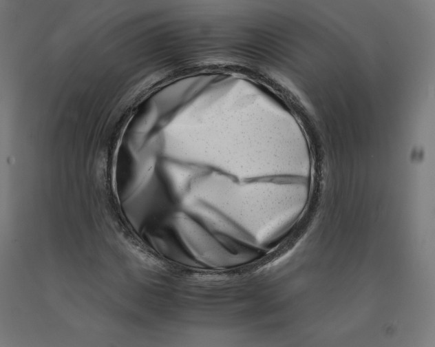 X0000090880825200708241939