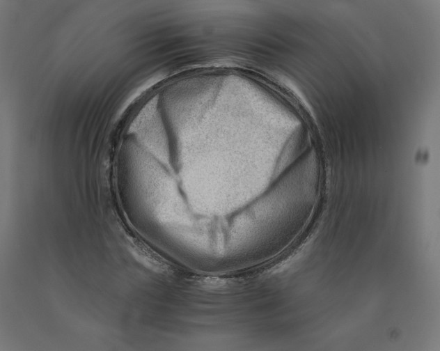 X0000090880827200708241939