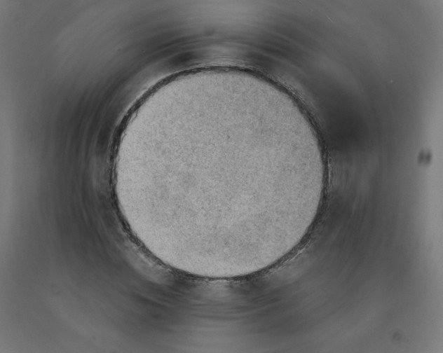 X0000090880828200708241939