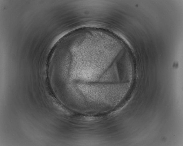 X0000090880829200708241939