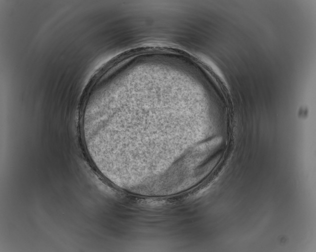 X0000090880831200708241939