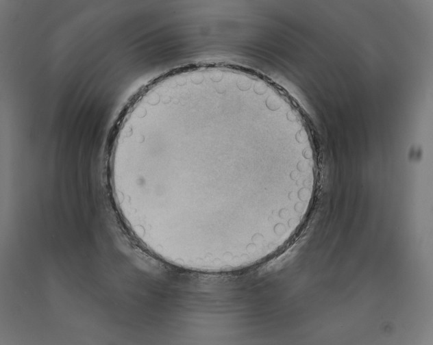 X0000090880832200708241939