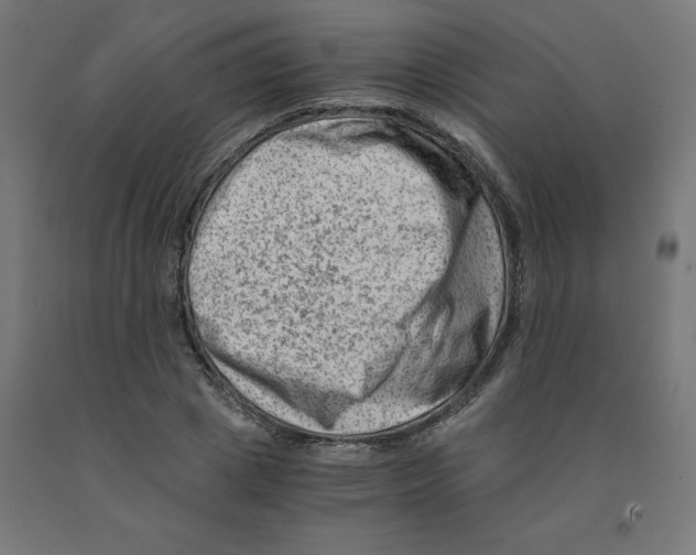 X0000090880833200708241939