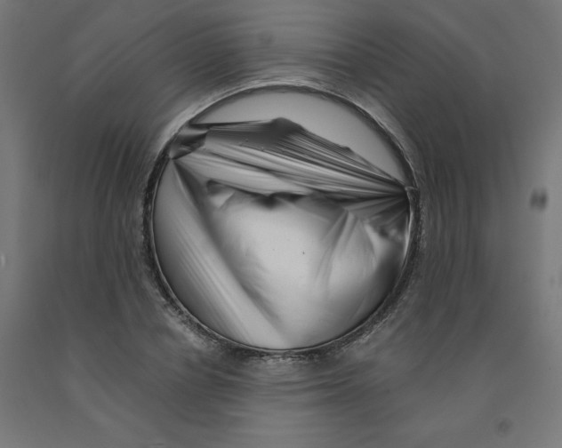 X0000090880834200708241939