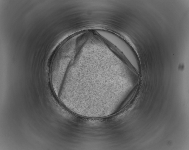 X0000090880835200708241939