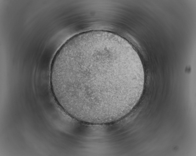 X0000090880836200708241939