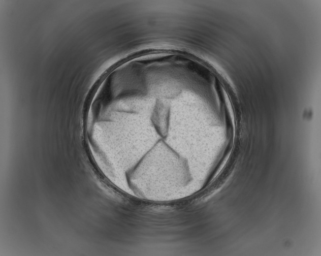 X0000090880837200708241939