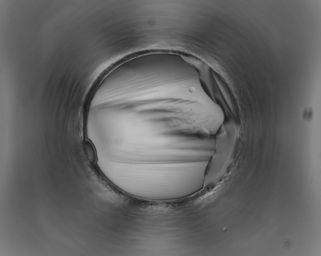 X0000090880838200708241939