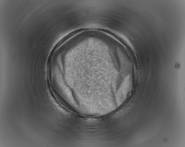 X0000090880839200708241939